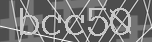 captcha codice